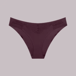 LOVE IN LACE Tai knickers